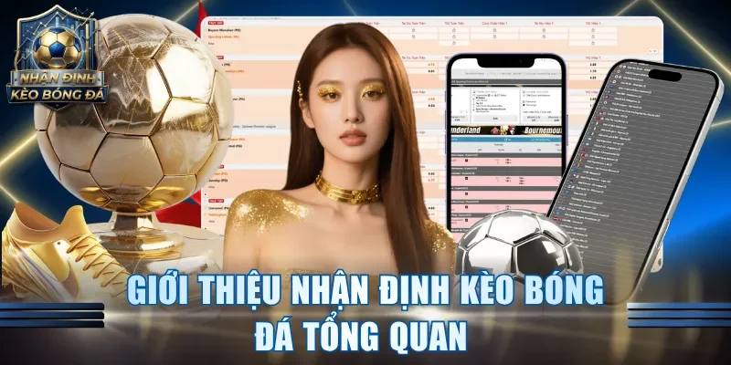 Giới thiệu Nhận định kèo bóng đá tổng quan